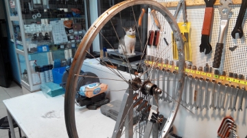 Расспицовка колеса велосипеда